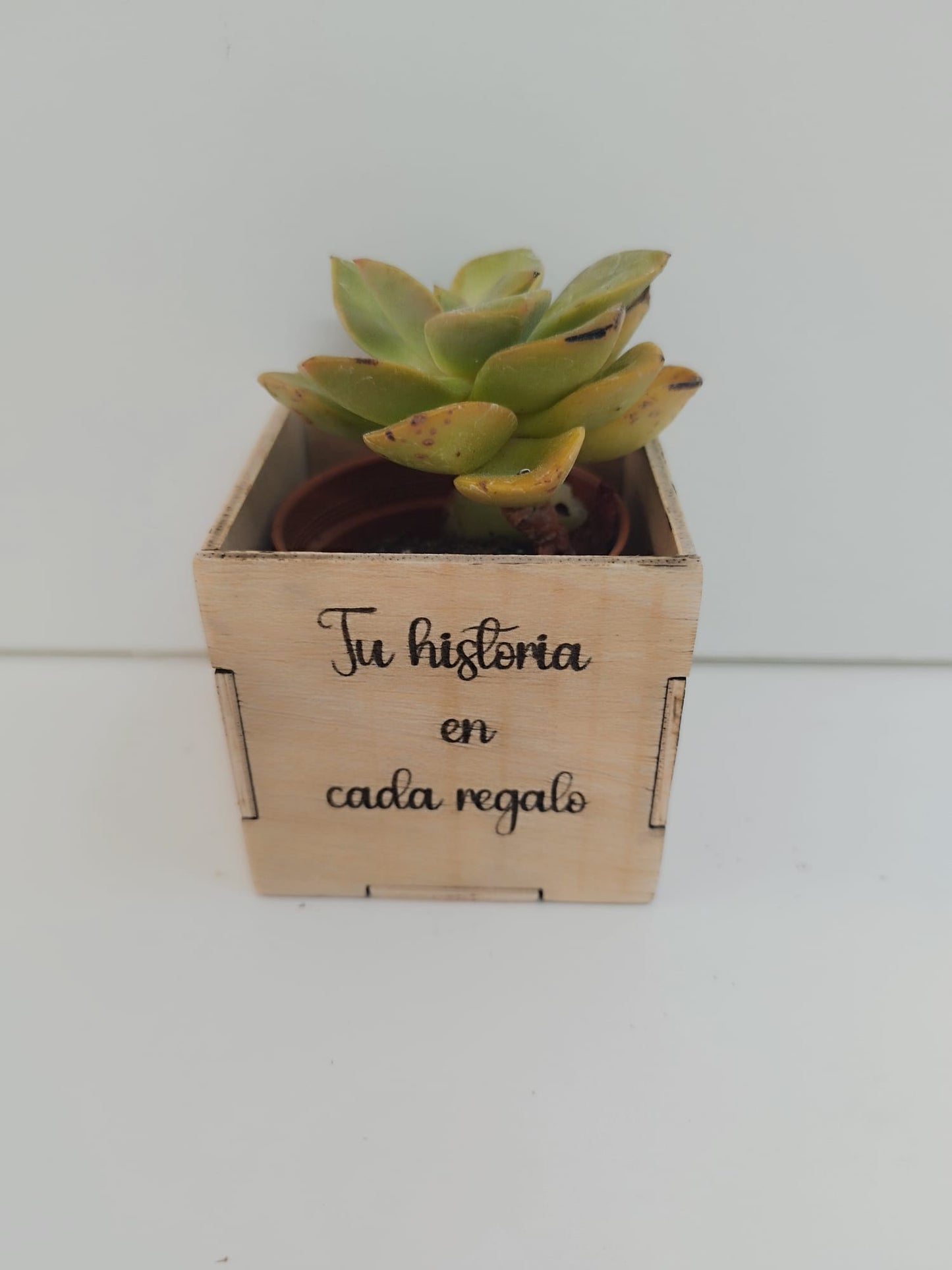 regalo personalizado
regalo original
regalo creativo
boda
ADORNOS CENA DE NAVIDAD
ADORNOS DE NAVIDAD
fiesta de bienvenida al bebé
baby shower
bautizos
boda 2024
CAJA ARTESANAL DE MADERA
caja de madera
CAJA DE MADERA ARTESANAL
caja de madera personalizada
CAJA DE MADERA PERSONALIZADA
caja personalizada
comuniones
confirmaciones
confirmaciones
cuadro de firmas
uniones
cumpleaños
decoración de fiesta
DECORACIÓN MESA DE NAVIDAD
DECORACIÓN NAVIDAD
DECORACION PARA EVENTOS FIESTAS BODAS CO