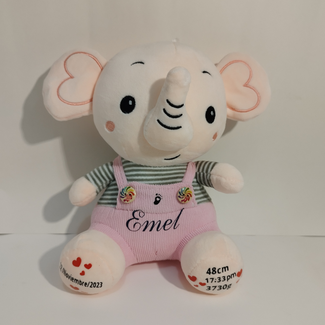 PELUCHE PERSONALIZADO