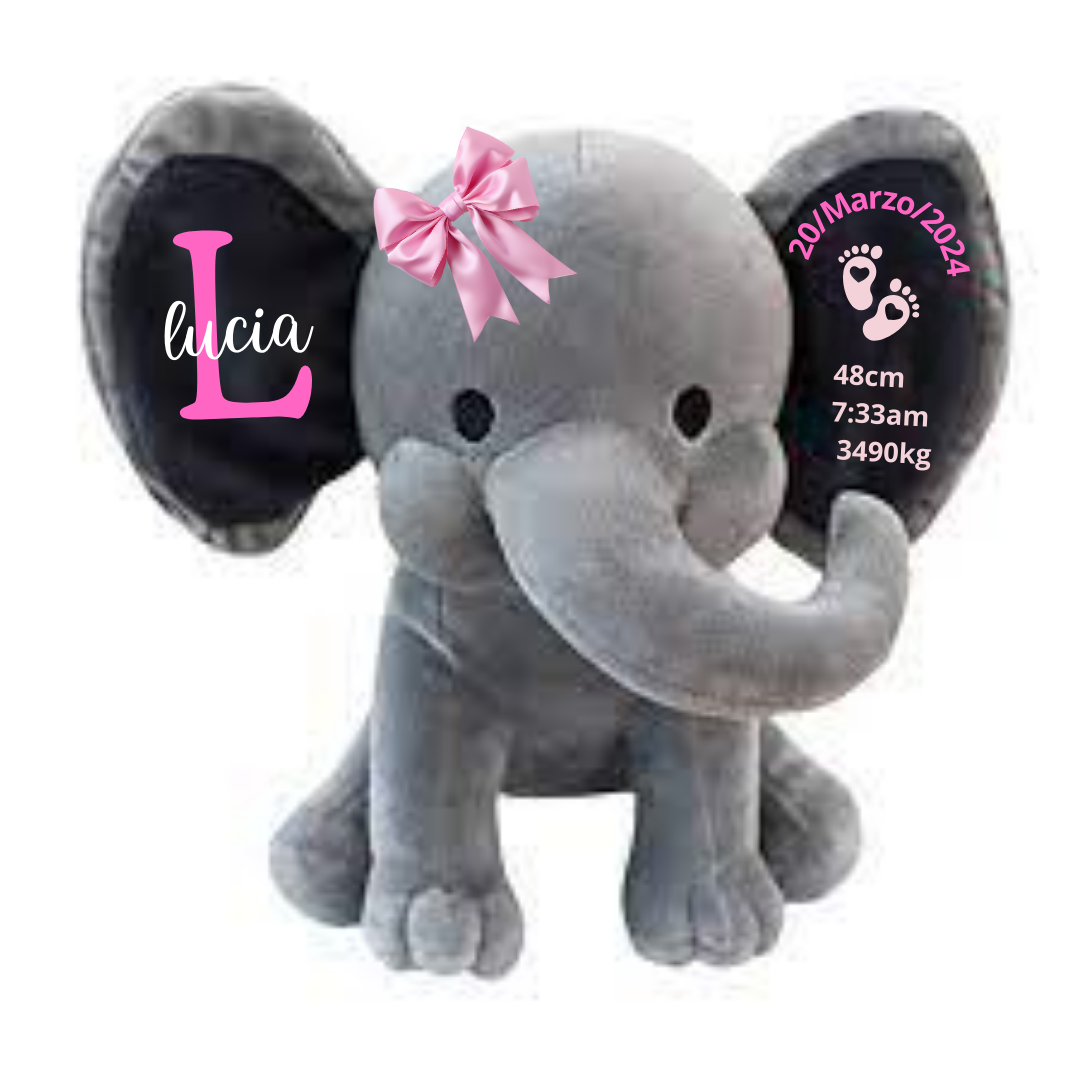 peluche personalizado, peluche natalicio, peluche infantil personalizado
