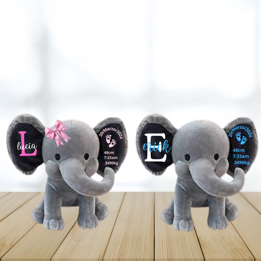 Peluche  personalizado natalicio, natalicio bebe, regalo infantil personalizado, 