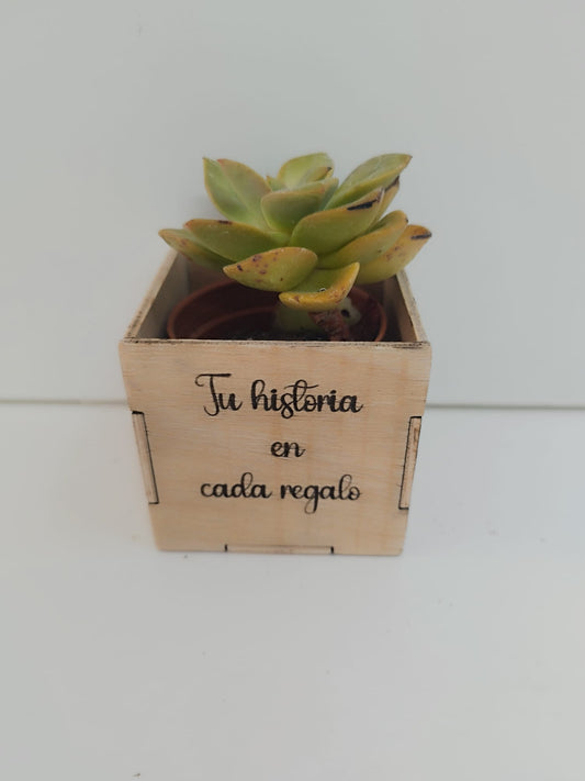 regalo personalizado

regalo original

regalo creativo

boda

ADORNOS CENA DE NAVIDAD

ADORNOS DE NAVIDAD

fiesta de bienvenida al bebé

baby shower

bautizos

boda 2024

CAJA ARTESANAL DE MADERA

caja de madera

CAJA DE MADERA ARTESANAL

caja de madera personalizada

CAJA DE MADERA PERSONALIZADA

caja personalizada

comuniones

confirmaciones

confirmaciones

cuadro de firmas

uniones

cumpleaños

decoración de fiesta

DECORACIÓN MESA DE NAVIDAD

DECORACIÓN NAVIDAD

DECORACION PARA EVENTOS FIESTAS BODAS CO